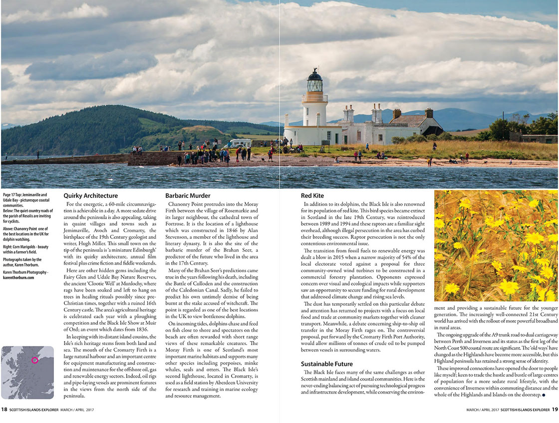 Guest blogger - magazine article with text and panorama of a lighthouse with people on a beach, and a photo of yellow flowers