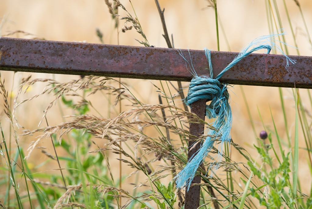 Inverness things to do - blue twine wrapped around a rusty gate with thistles and long grass growing behind it