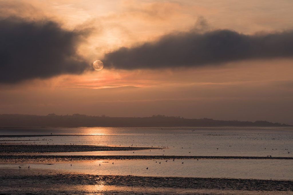 The setting sun between clouds over a bay with birds in the water and soft pink light in the sky
