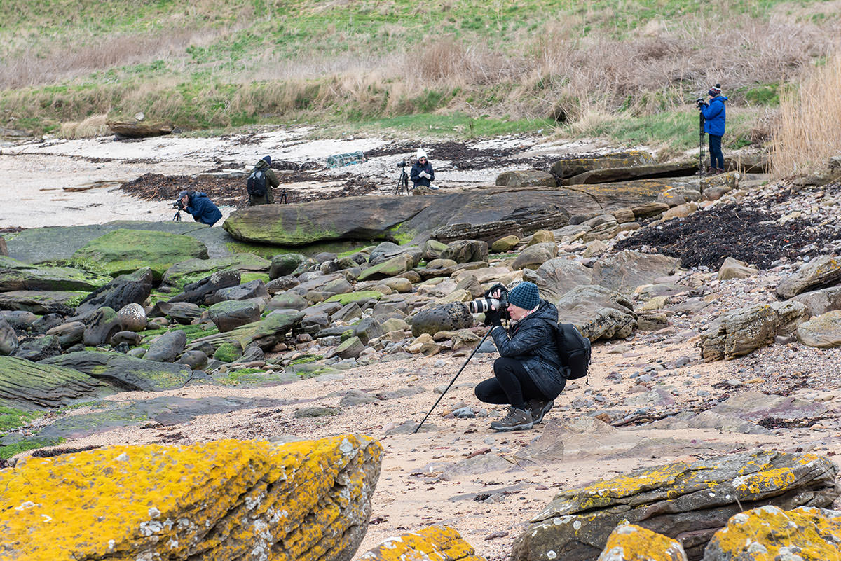 Five photographers on a landscape photography workshop on a rocky beach with cameras and tripods