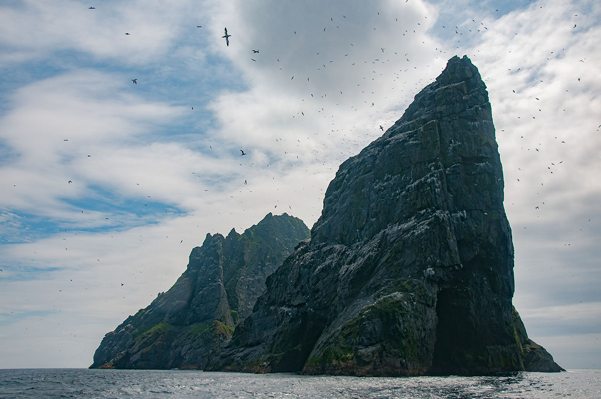 Imposing dark sea stack overhead with a Scottish island behind, with gannets flying in a blue sky with some clouds