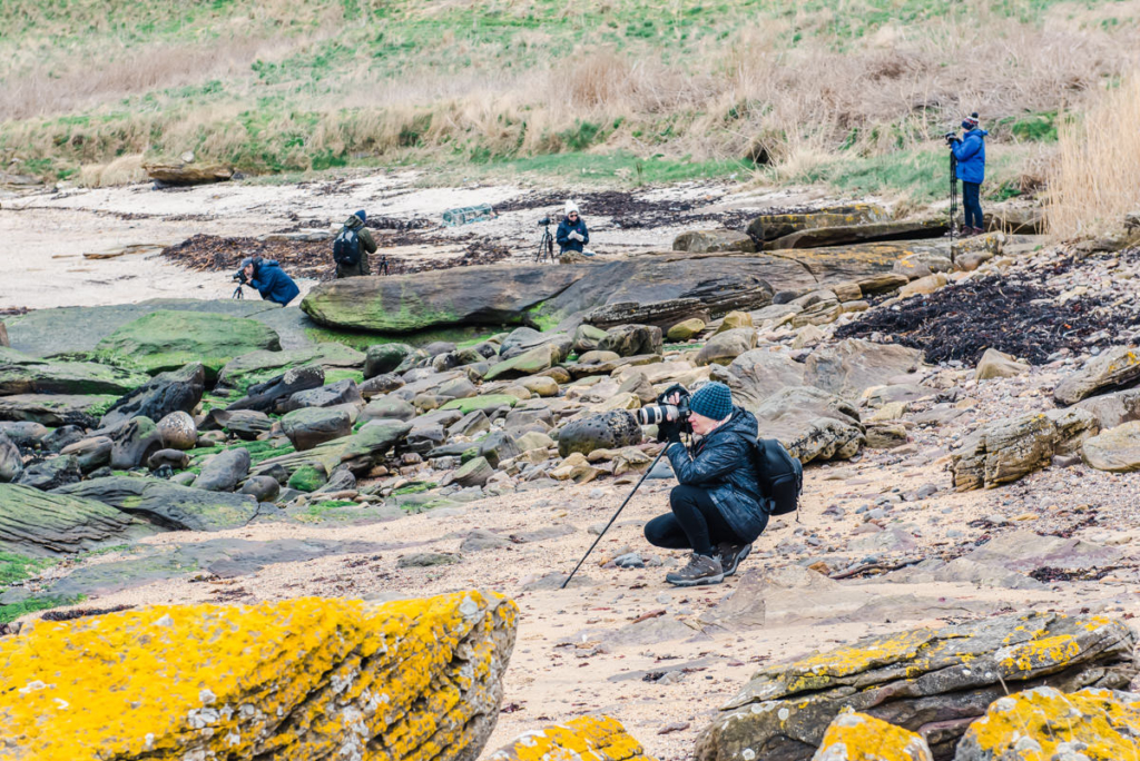 Five photographers with cameras and tripods engaged in landscape photography on a beach with sand and rocks