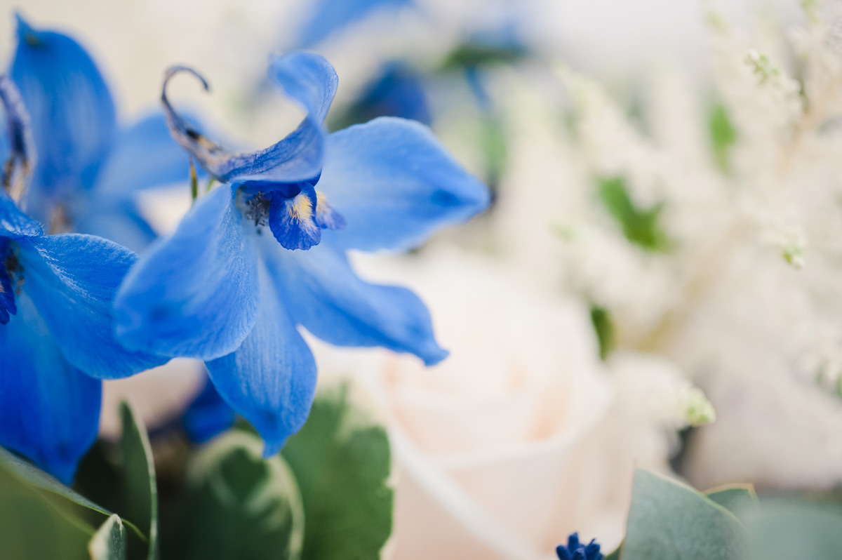 A close-up of a blue flower with white and green flowers blurred out in the background