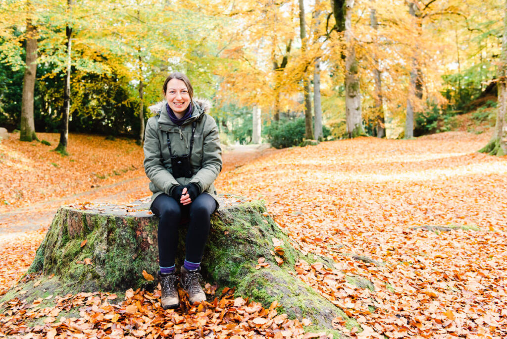 A professional photographer sitting on a tree stump in a woodland in autumn at Crathes Castle near Banchory in Aberdeenshire