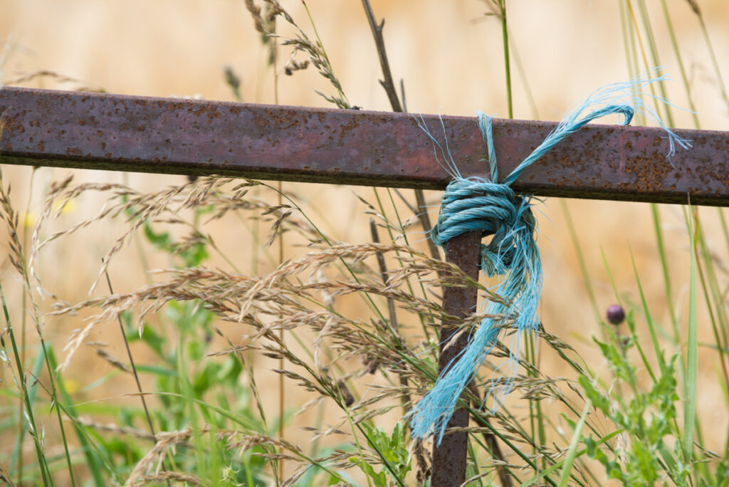 Blue twine wrapped around a gate with thistles and grass behind at the Black Isle on the North Coast 500 photography workshop