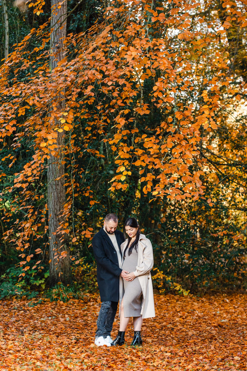 In an autumnal beech woodland a young couple in jackets look lovingly down at the expectant mothers baby bump