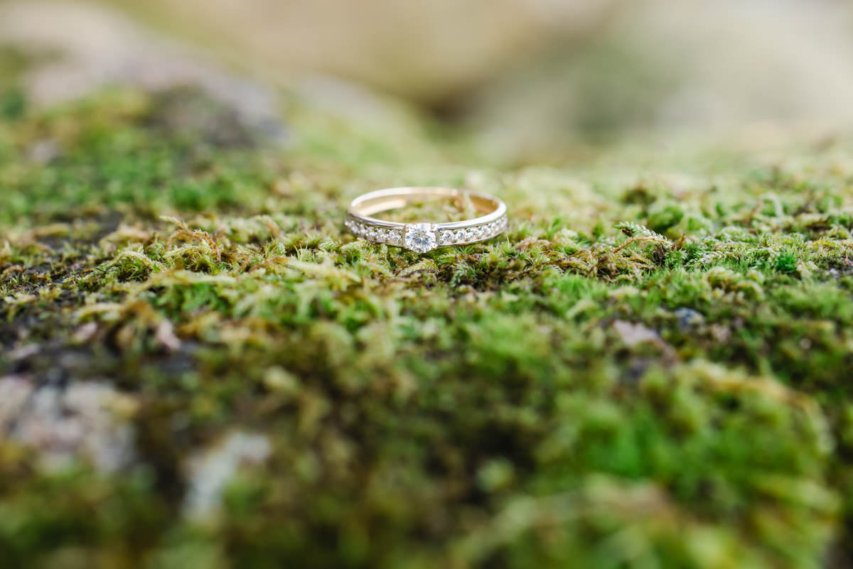 A close up of a diamond encrusted engagement ring resting on green lichen