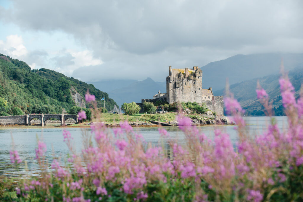 A view through purple rosebay willowherb of a large Scottish castle set on a stone outcrop on a loch