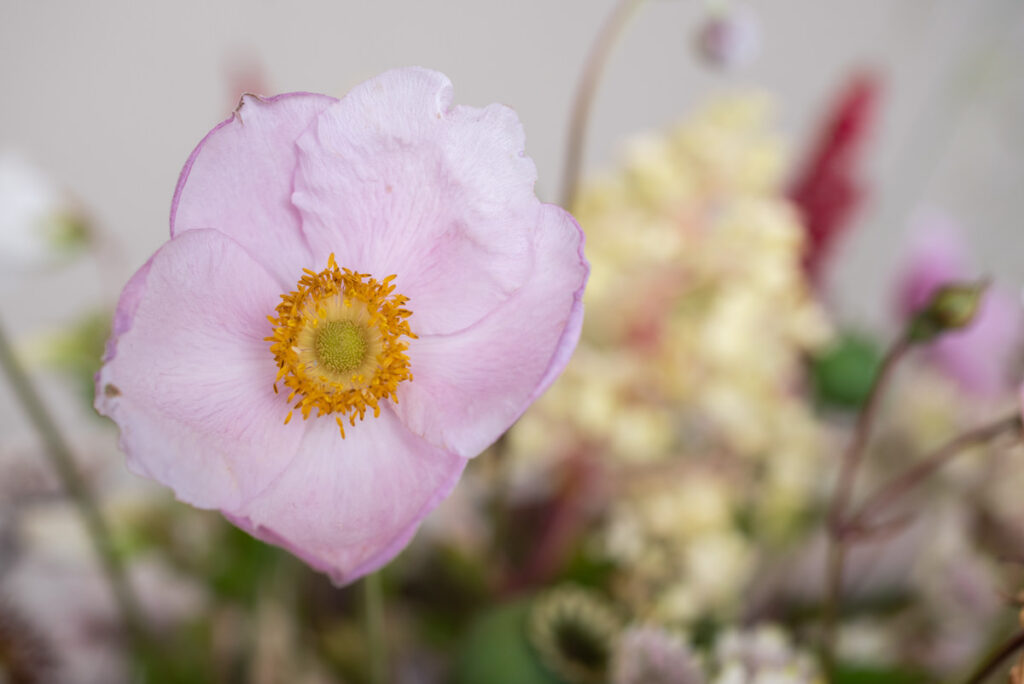 A close up of an artificial purple poppy type flower with blurred foliage in the background