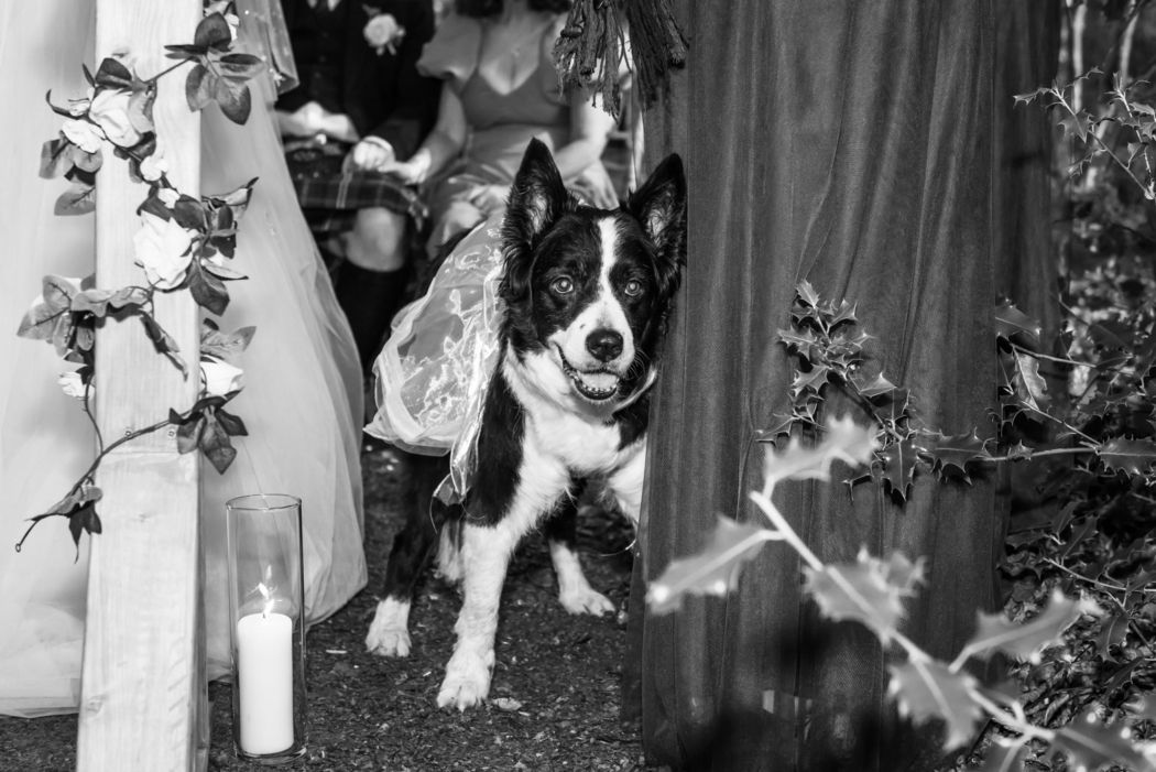 Megan-and-Alastair-268