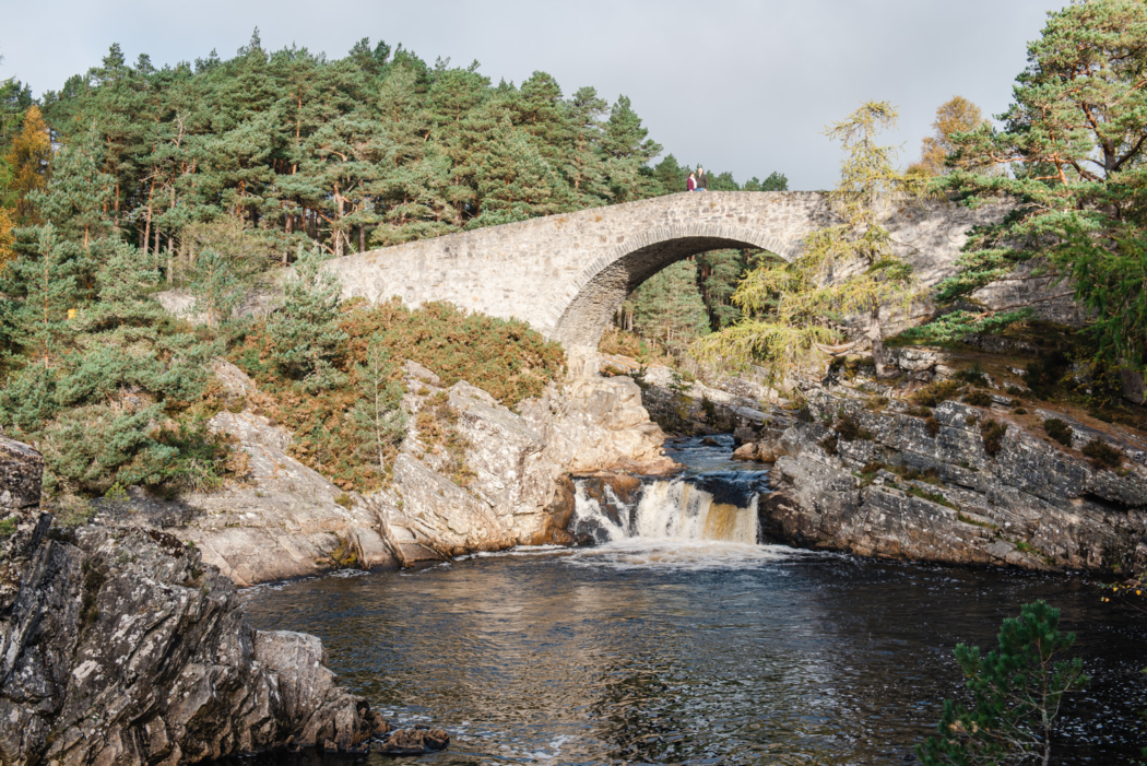 Leigh-Ann-and-Jerry-18