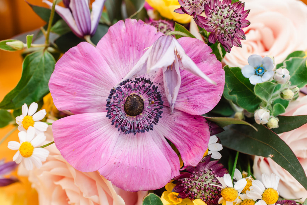 Christine-and-Douggie-4