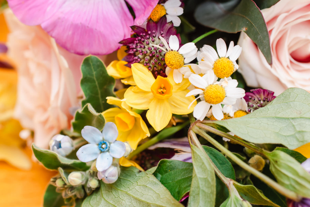 Christine-and-Douggie-5