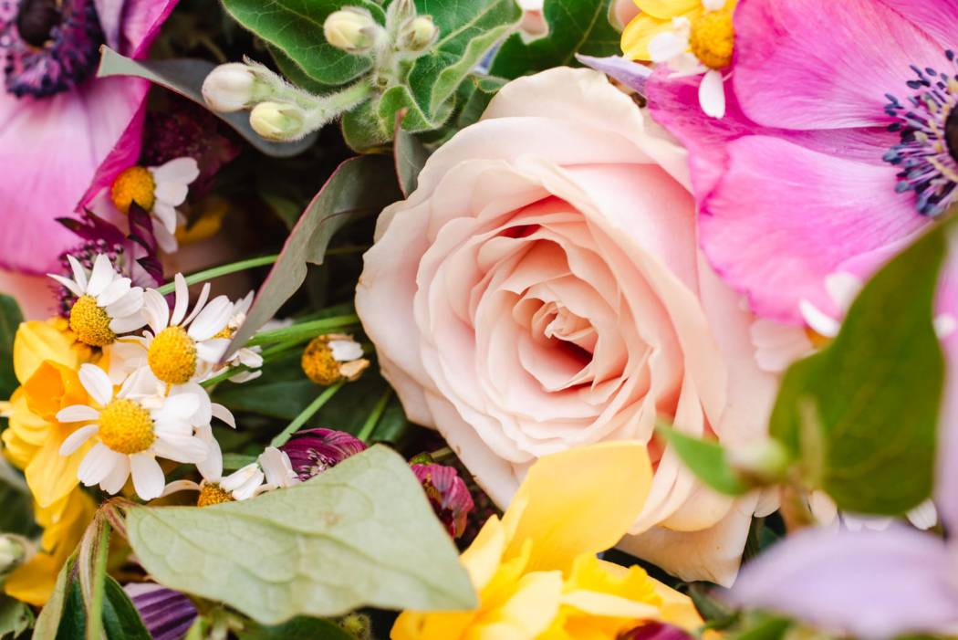 Christine-and-Douggie-6