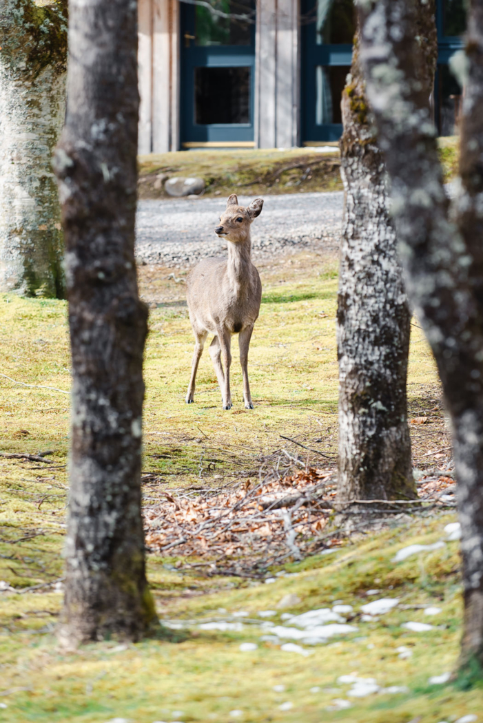 Christine-and-Douggie-69